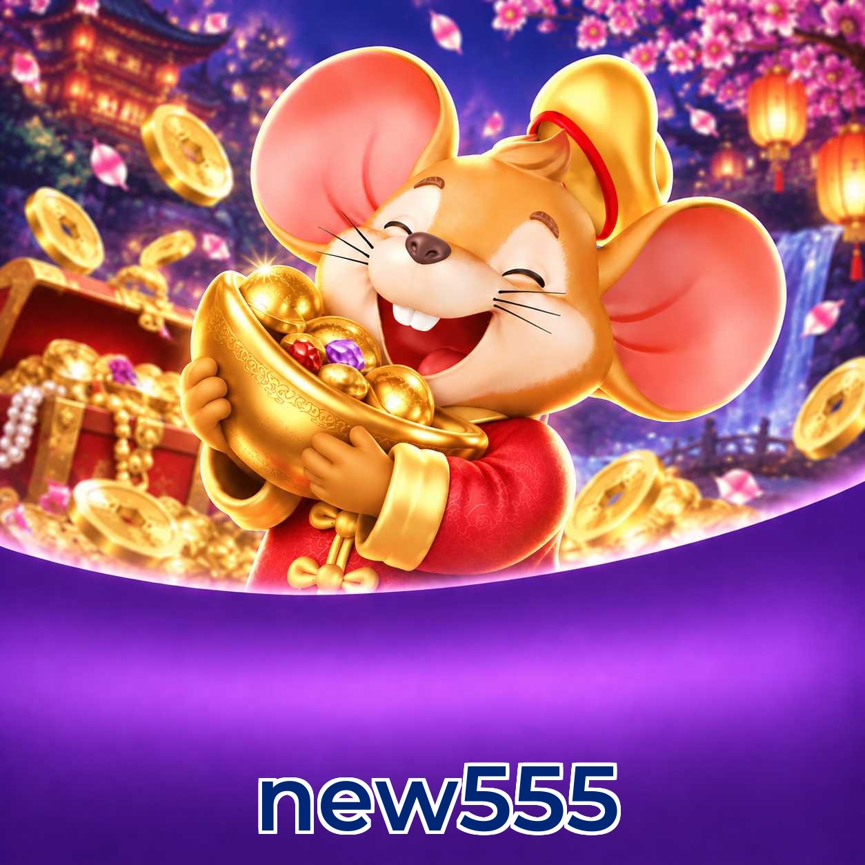 new555 Segurança