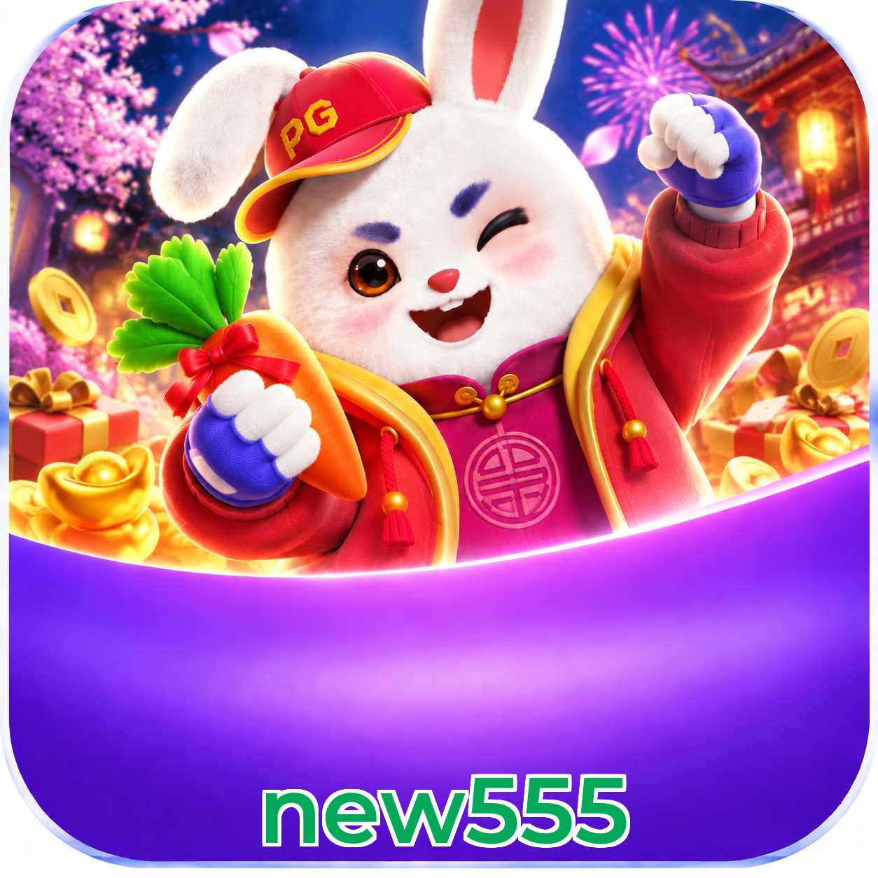 new555 FAQ